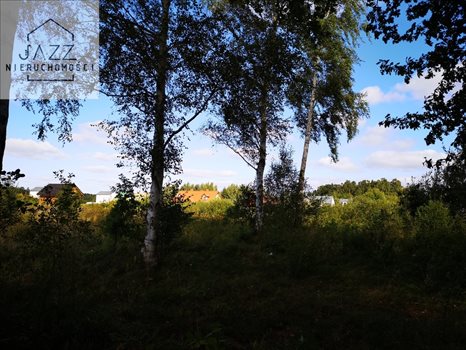 Działka budowlana na sprzedaż Dębki 1 323m2 Foto 8
