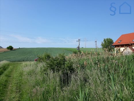 Działka budowlana na sprzedaż Węgrzce 2 600m2 Foto 10