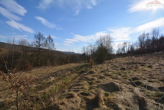 Działka rekreacyjna na sprzedaż Babice 2 400m2 Foto 9