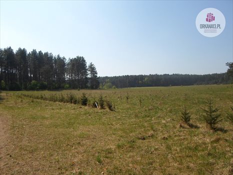 Działka rekreacyjna na sprzedaż Ząbie, Ząbie 2 981m2 Foto 3