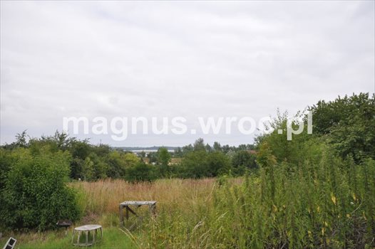 Działka budowlana na sprzedaż Domanice 5 100m2 Foto 3