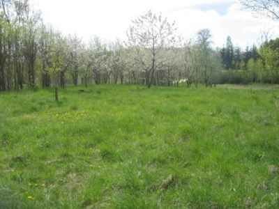 Działka rolna na sprzedaż Brajniki, Brajniki 3 000m2 Foto 5