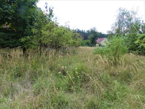Działka inna na sprzedaż Bagno, Oborniki Śląskie 6 119m2 Foto 6