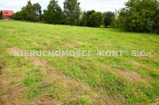Działka budowlana na sprzedaż Giebułtów, Graniczna 907m2 Foto 2