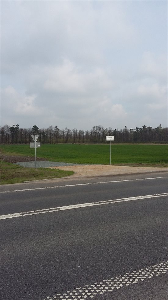 Działka inwestycyjna na sprzedaż Cieśle, Cieśle 26 300m2 Foto 6
