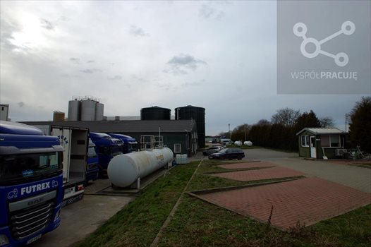 Lokal użytkowy na wynajem Gorzów Wielkopolski, okolice 1 940m2 Foto 11