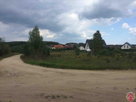 Działka budowlana na sprzedaż Bojano, Jana Chrzciciela 1 307m2 Foto 10