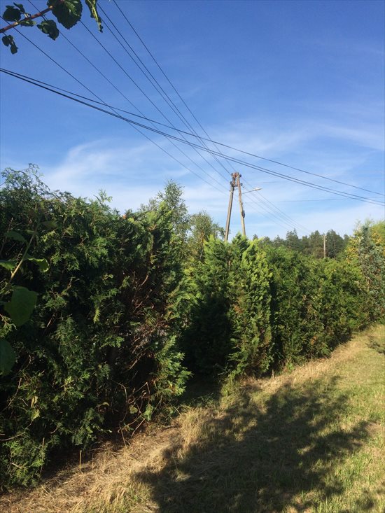 Działka budowlana na sprzedaż Blachownia, Malice, Malicka 1 803m2 Foto 13