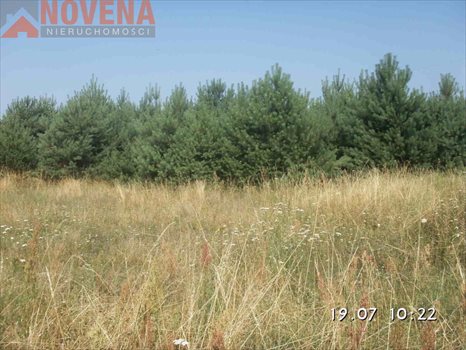 Działka rolna na sprzedaż Radecz, Radecz 53 000m2 Foto 2