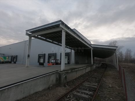 Lokal użytkowy na wynajem Konin, ul. bł. Maksymiliana Kolbego 2 431m2 Foto 9