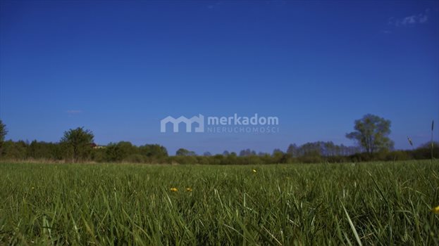 Działka siedliskowa na sprzedaż Potrzanowo 19 400m2 Foto 3