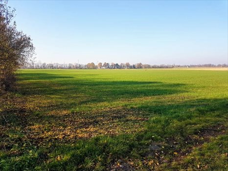 Działka przemysłowo-handlowa na sprzedaż Wocławy, XXX 38 134m2 Foto 1