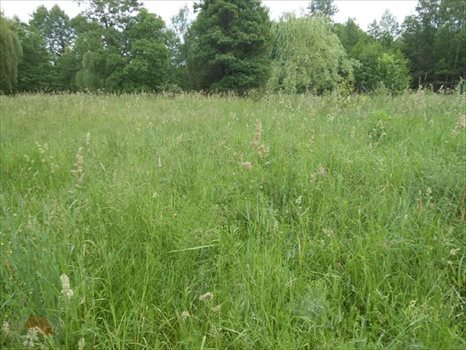 Działka budowlana na sprzedaż Łódź, Polesie 5 664m2 Foto 2