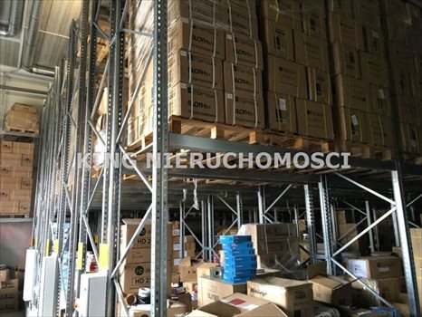 Lokal użytkowy na wynajem Szczecin, Bezrzecze 1 590m2 Foto 8