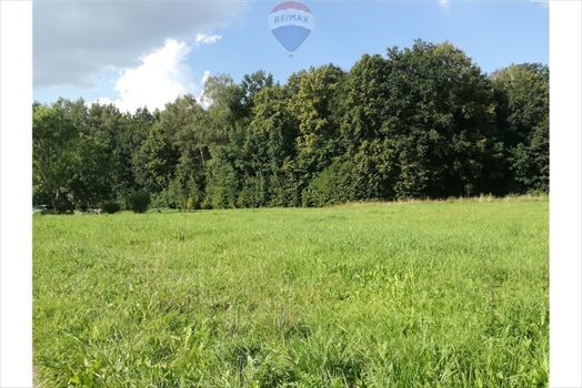 Działka budowlana na sprzedaż Bielsko-Biała 1 137m2 Foto 5