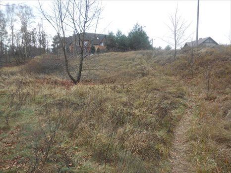 Działka budowlana na sprzedaż Poznań, Zieliniec, Sarnia 1 029m2 Foto 3