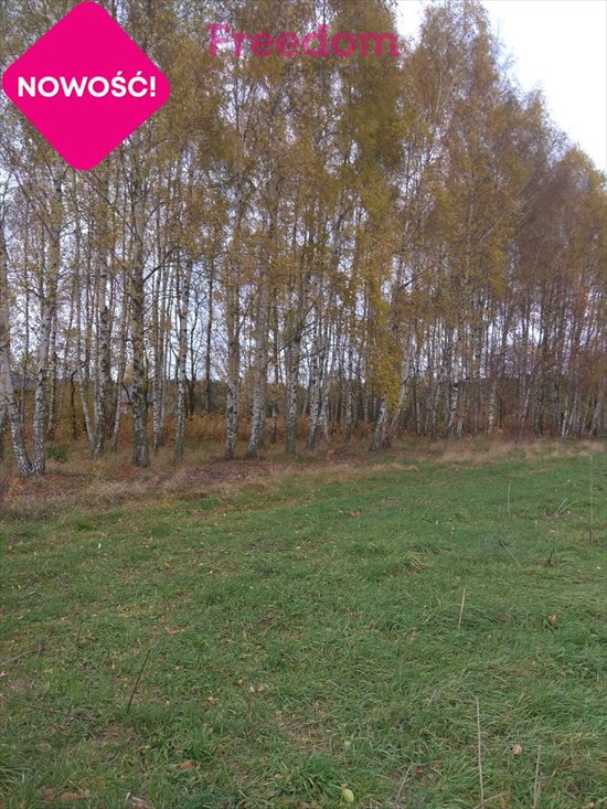 Dom na sprzedaż Tuszyn, Roberta Kocha 89m2 Foto 8