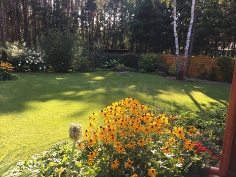 Dom na sprzedaż Adamów-Wieś, Olszowa 180m2 Foto 3