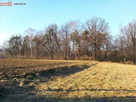 Działka budowlana na sprzedaż Trąbki, Trąbki, Trąbki 2 800m2 Foto 2