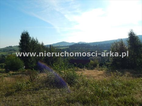 Działka budowlana na sprzedaż Mszana Dolna 1 531m2 Foto 1