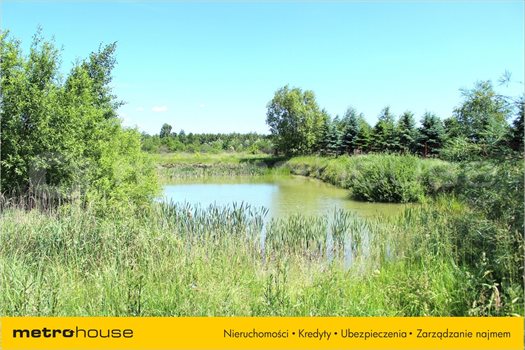Dom na sprzedaż Nowa Gadka, Ksawerów 250m2 Foto 3
