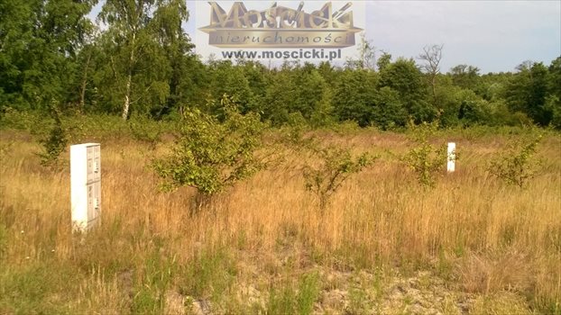 Dom na sprzedaż Kruszew 125m2 Foto 7