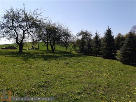 Działka budowlana na sprzedaż Dziekanowice 800m2 Foto 4