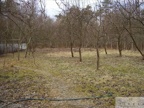 Lokal użytkowy na sprzedaż Starowa Góra 500m2 Foto 4