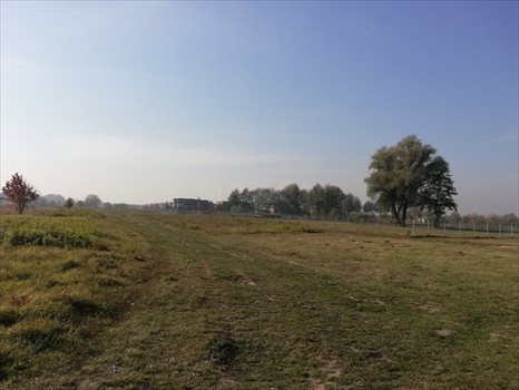 Działka inna na sprzedaż Kiełpin Poduchowny 10 023m2 Foto 3