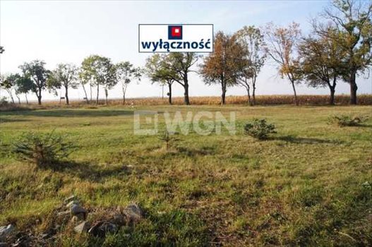 Działka inwestycyjna pod dzierżawę Inowrocław, Warsztatowa - Batkowska 2 600m2 Foto 3