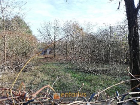 Działka budowlana na sprzedaż Józefów, Nadwiślańska 1 366m2 Foto 5