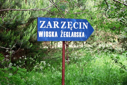 Działka rekreacyjna na sprzedaż Zarzęcin 300m2 Foto 3