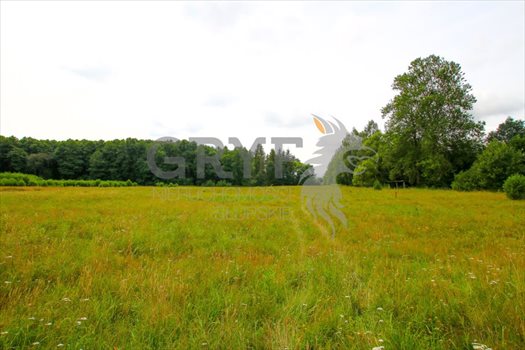 Działka inna na sprzedaż Łosino, Łosino 15 900m2 Foto 2