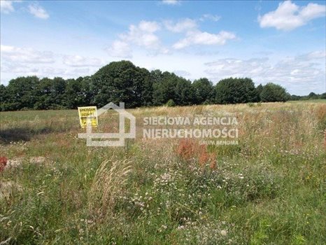 Działka rolna na sprzedaż Małe Swornegacie 4 792m2 Foto 9