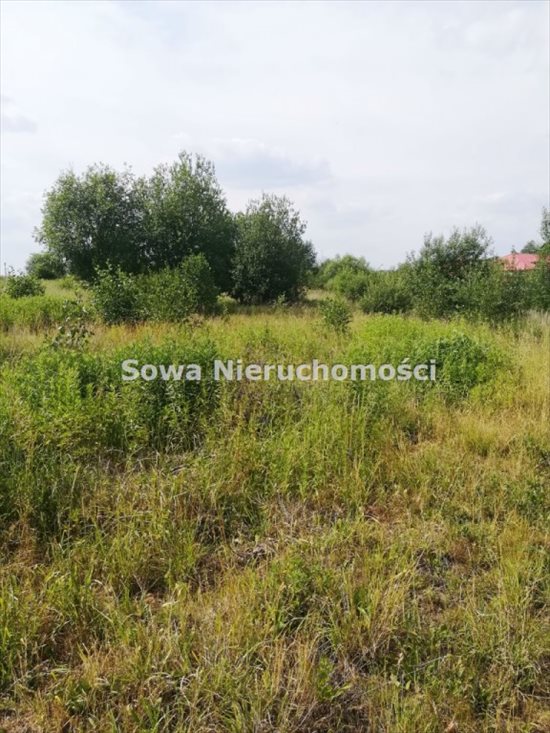 Działka budowlana na sprzedaż Wałbrzych, Poniatów 1 653m2 Foto 2