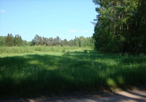 Działka siedliskowa na sprzedaż Rybical 40 936m2 Foto 2