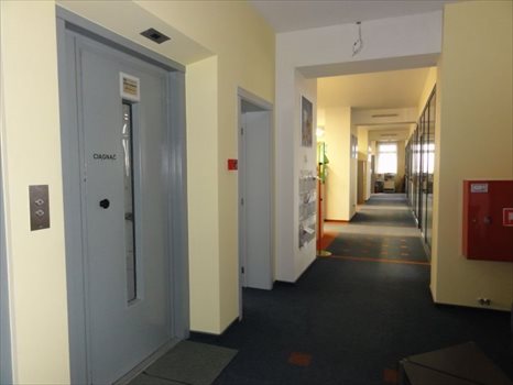 Lokal użytkowy na sprzedaż Wrocław, Psie Pole 3 770m2 Foto 6