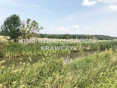 Działka budowlana na sprzedaż Dobra 3 000m2 Foto 3