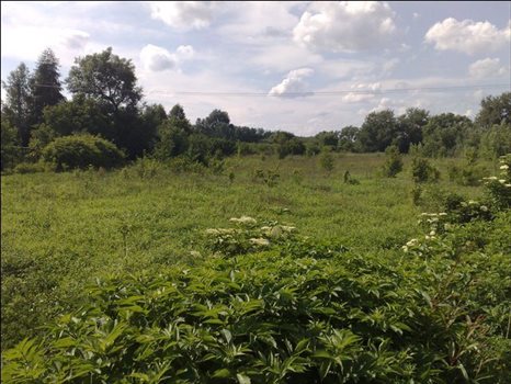 Działka budowlana na sprzedaż Dębówka, Słomczyn, Dębówka 10 900m2 Foto 1