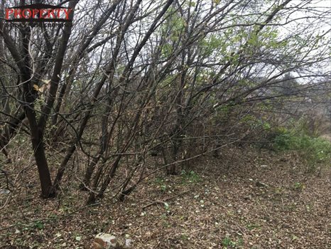 Działka inwestycyjna na sprzedaż Łódź, Górna, Kolumny 3 000m2 Foto 12