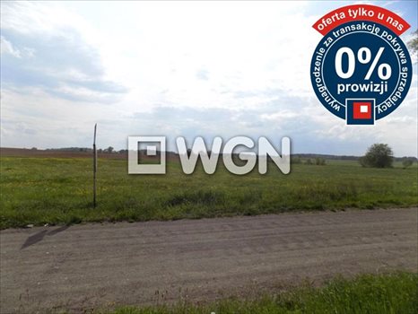 Działka inna na sprzedaż Krzywe 3 000m2 Foto 4