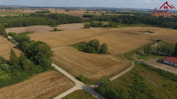 Działka inna na sprzedaż Turznica 6 800m2 Foto 2