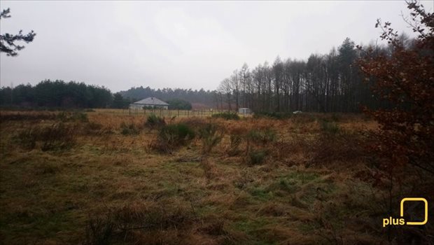 Działka budowlana na sprzedaż Orzesze, Woszczyce, Palowicka 900m2 Foto 3