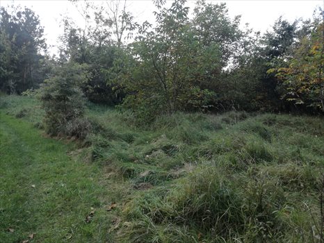 Działka budowlana na sprzedaż Tarnów, Marusarz / Bystra 1 287m2 Foto 8