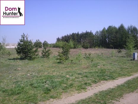Działka budowlana na sprzedaż Gołubie 1 000m2 Foto 2