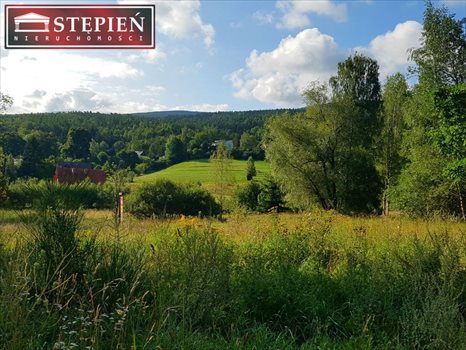 Działka budowlana na sprzedaż Jelenia Góra, Jagniątków 2 783m2 Foto 2