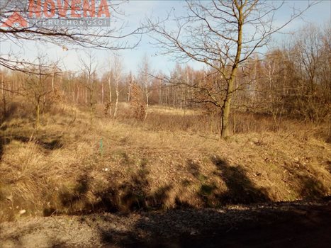 Działka budowlana na sprzedaż Wrocław, Fabryczna, Leśnica, Trzmielowicka 10 656m2 Foto 5