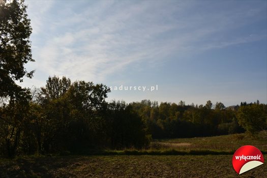 Działka budowlana na sprzedaż Grajów 3 700m2 Foto 10