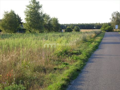 Działka inna na sprzedaż Dąbrówka Leśna 6 899m2 Foto 1