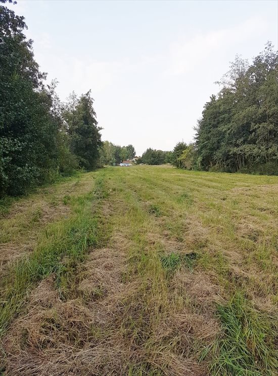 Działka budowlana na sprzedaż Słupno 7 100m2 Foto 7